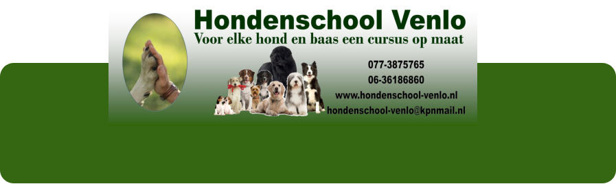 Hondencursus Venlo
