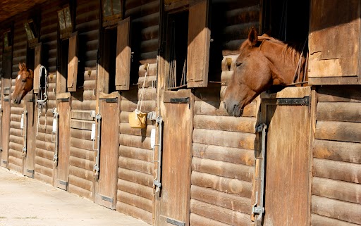 Buitenboxen voor paarden